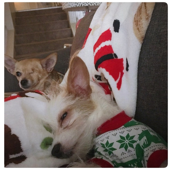 Meet your Posher, Maryann - Picture 5 of 5